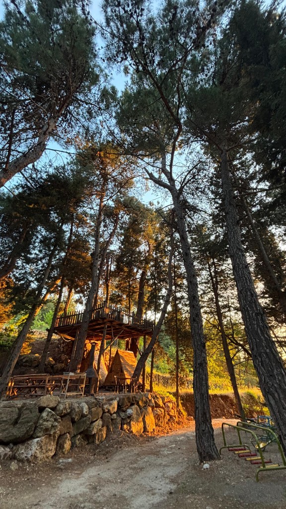 Wooden cabins among pine trees in the Lebanese mountains